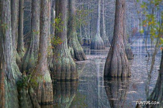 Awesome Pix Of The Week