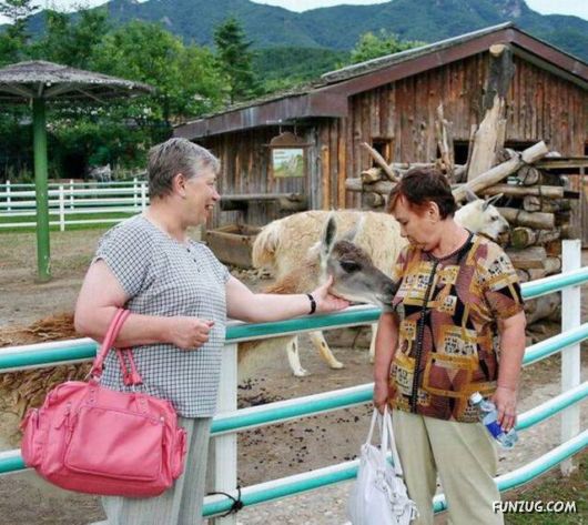 Awesome Pix Of The Week