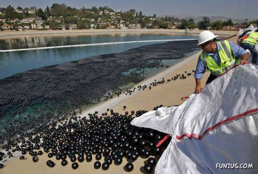 Awesome Pix Of The Week