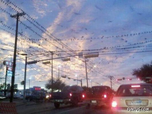 Awesome Pix Of The Week