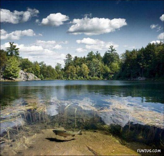 Awesome Pix Of The Week