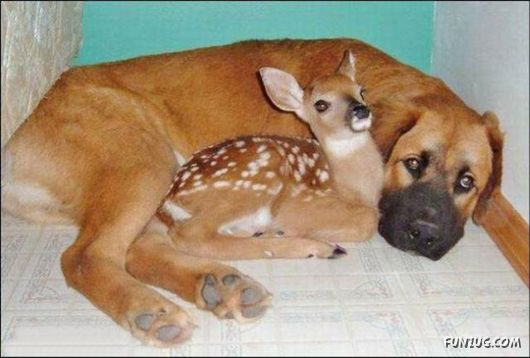 Awesome Pix Of The Week