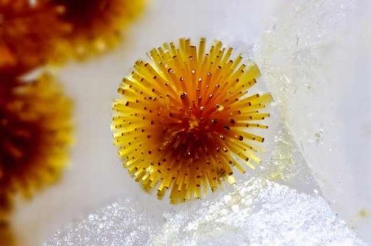 The Amazing Beauty Of Minerals