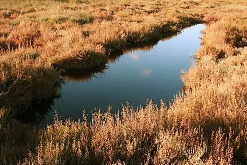 Pretty Natural Pictures Of Ponds