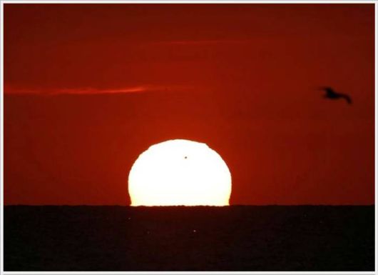 Spectacular Transit Of Venus
