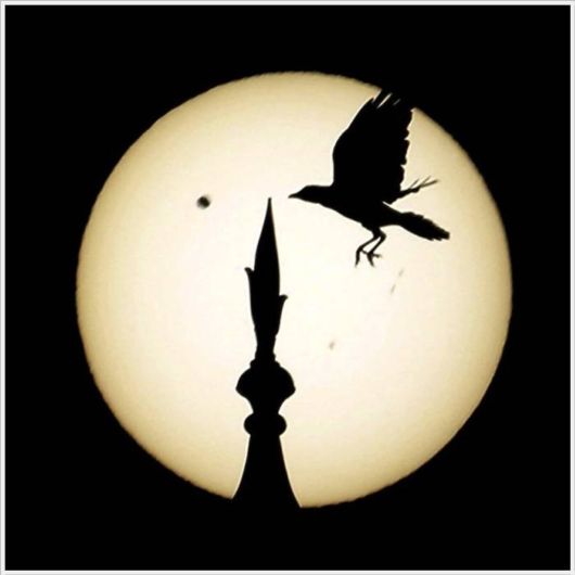 Spectacular Transit Of Venus