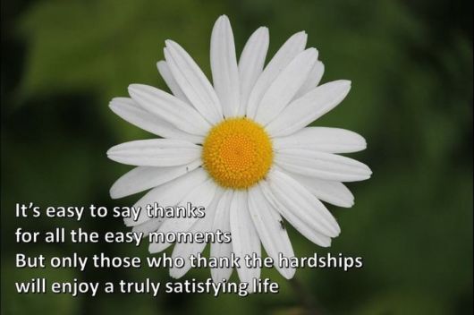 I Just Wanted To Say Thank You