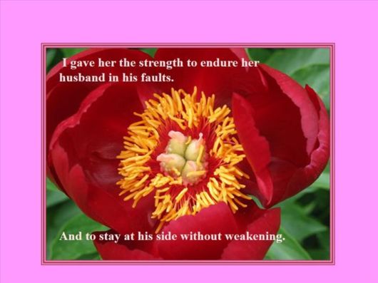 The Tears Of A Woman