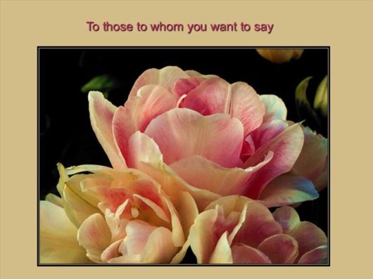 The Tears Of A Woman