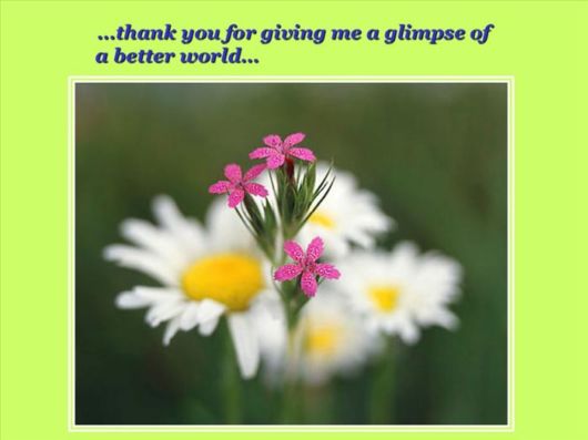 The Tears Of A Woman