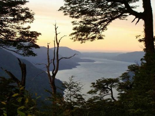 Amazing Magic Mountain Hotel