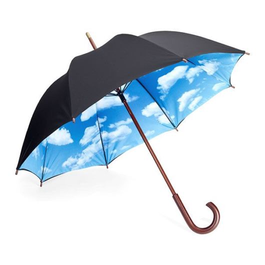 Brilliant Umbrellas That Make Rainy Days Fun  