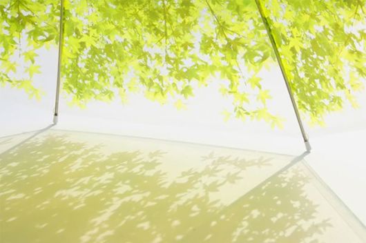 Brilliant Umbrellas That Make Rainy Days Fun  