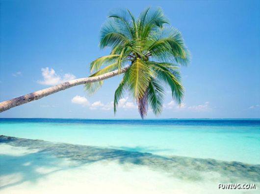 Click to Enlarge - Beautiful Maldives Wallpapers