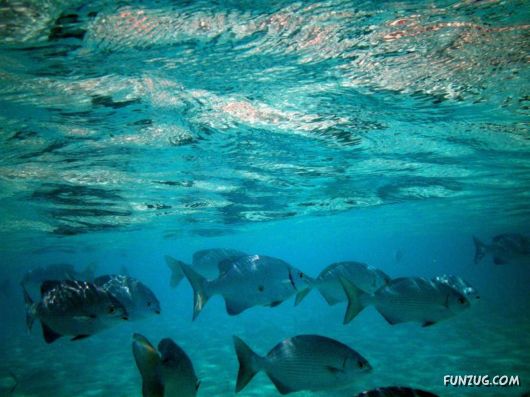 Click to Enlarge - Beautiful Maldives Wallpapers