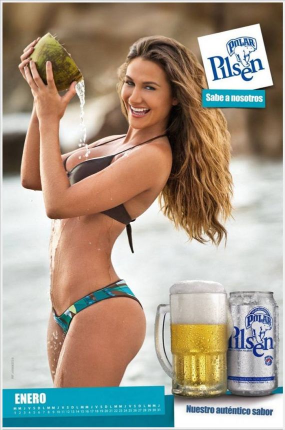 Click to Enlarge - The Polar Pilsen Beer Calendar