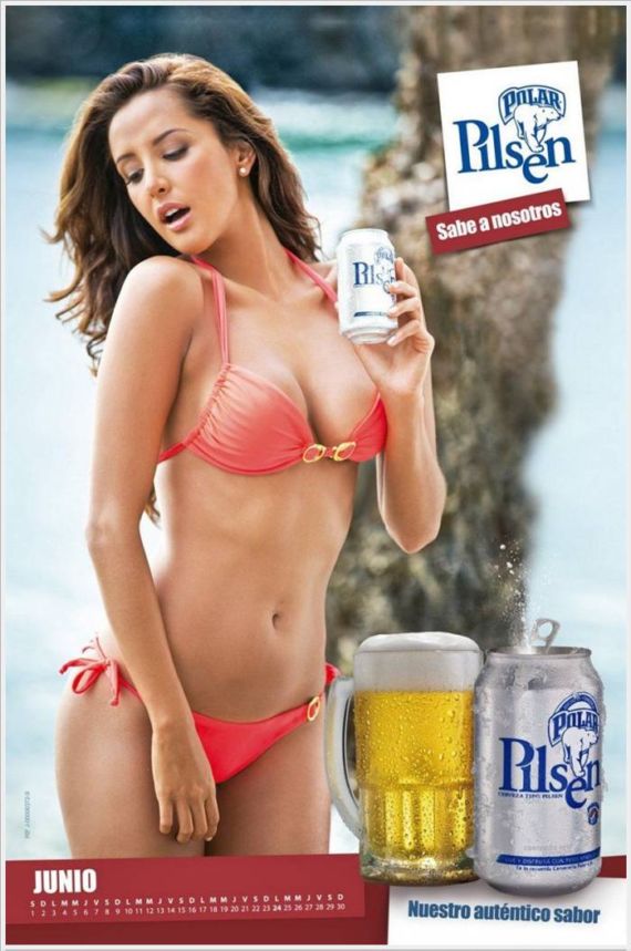 Click to Enlarge - The Polar Pilsen Beer Calendar