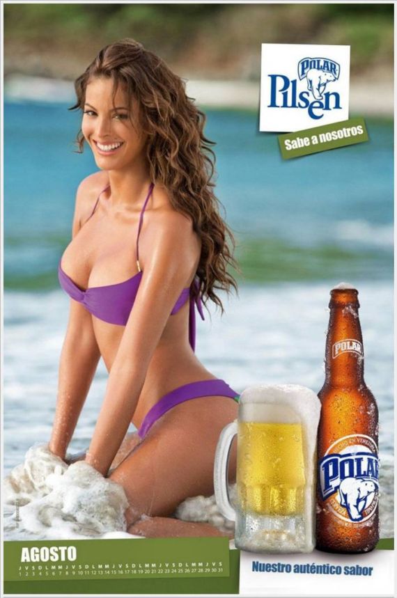 Click to Enlarge - The Polar Pilsen Beer Calendar