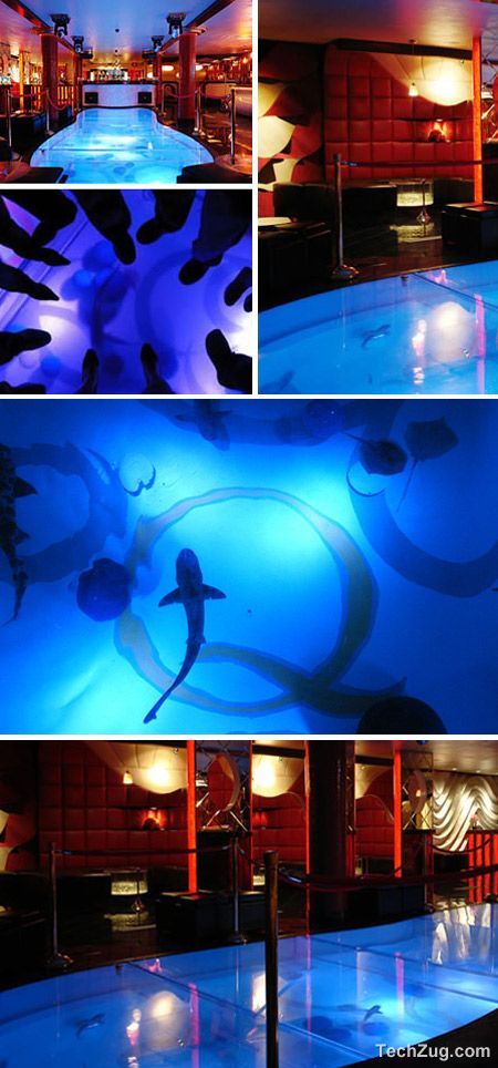 Top 10 Coolest Aquariums