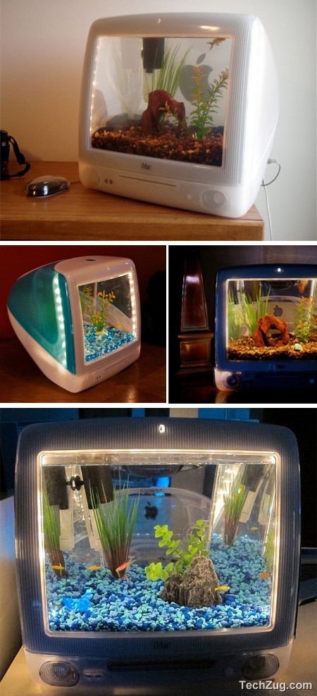 Top 10 Coolest Aquariums