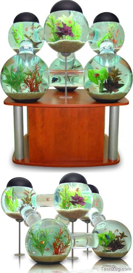 Top 10 Coolest Aquariums