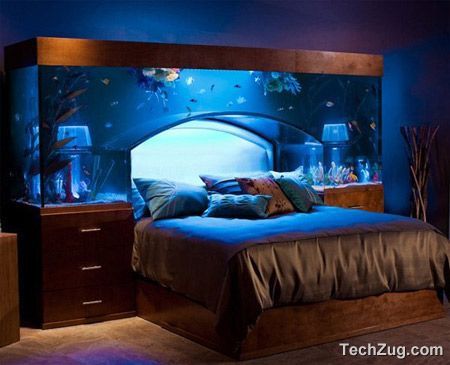 Top 10 Coolest Aquariums Techzug Com