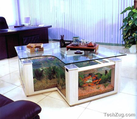 Top 10 Coolest Aquariums