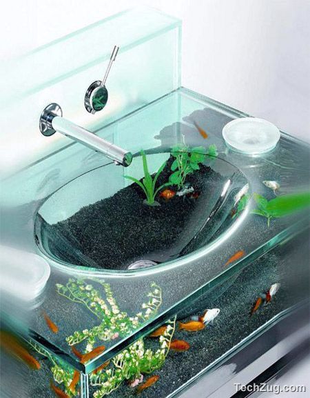 Top 10 Coolest Aquariums